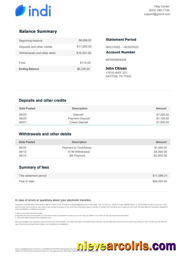 USA Indi bank statement